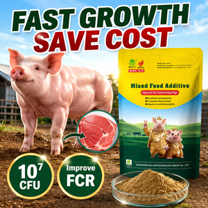 Probiótico de Alto Rendimiento para Engorde de Cerdos, Mejora la Tasa de Conversión de Alimento, Aumenta la <span class=keywords><strong>Porcentaje</strong></span> de Carne Magra, Mejora el Sabor de la Carne, Salud Intestinal - Product Image 3