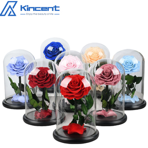 Regalos para el Día <span class=keywords><strong>de</strong></span> San Valentín 2025, <span class=keywords><strong>Rosa</strong></span> Eterna Real en Cúpula <span class=keywords><strong>de</strong></span> <span class=keywords><strong>Cristal</strong></span>, Flores <span class=keywords><strong>de</strong></span> Amor Eterno, Regalos para el Día <span class=keywords><strong>de</strong></span> la Madre <span class=keywords><strong>con</strong></span> Caja - Product Image 3