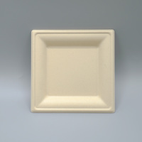 Assiettes carrées biodégradables en bagasse de canne à sucre de 6, 8 et 10 pouces – Assiettes jetables robustes en canne à sucre pour fêtes, dîners et collations