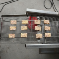 Nouvelle machine à galettes hydraulique de type ceinture pour galettes de poisson de forme irrégulière, certifiée sécurité, pour usine alimentaire
