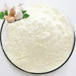 Ekstrak bawang putih kelas makanan bubuk allicin suplemen makanan hewan