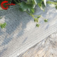 Filet de support de serre à haute perméabilité pour fraises