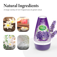 Désodorisant d'ambiance en gel réglable Runuzit de 7,5 oz (212 g) pour la maison, la voiture, le bureau, les toilettes, la désodorisation et l'aromathérapie, la garde-robe