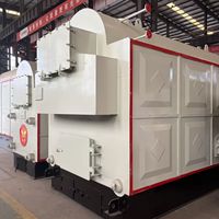 Chaudière à vapeur de centrale électrique de 16 tonnes alimentée à la biomasse DZH1-1.25