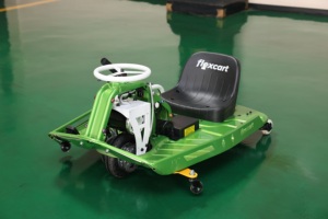 Flexcart Electric Go Kart 750W 200kg Max Load Adult Racing <b>Entertainment</b> Use - Product Image 3
