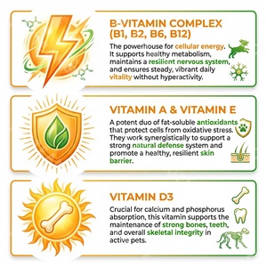 Tabletas Multivitamínicas Premium para Mascotas, Vitalidad Diaria, Apoyo Inmunológico para <span class=keywords><strong>Perros</strong></span> y Gatos, Marca Privada OEM - Product Image 3
