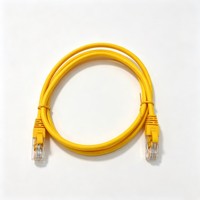 Câble de communication haute vitesse Cat5e UTP polyvalent de 2 m pour la transmission de données en rack de serveur et poste de travail (vente en gros)