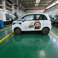 Mini-bus électrique fermé 4 places pour bébé, 4 roues, mobilité quotidienne adulte, batterie Li 200Ah, autonomie 300km, vitesse 55km/h