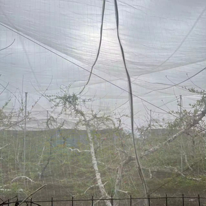 New Product PP Insect-proof <strong>Net</strong> Mesh <strong>Rope</strong> Interlocking <strong>Weaving</strong> Grasshopper Green Greenhouse Vegetables <strong>Net</strong> - Product Image 4