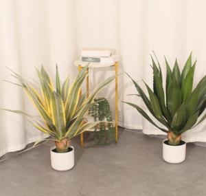 JWS4079 Piante Artificiali di Alta Qualità, Decorative e Durevoli, Piante Verdi in Vaso per <span class=keywords><strong>Abbellire</strong></span> la Tavola - Product Image 6