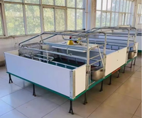 Cage de mise bas double face pour truies avec niche de nurserie pour porcelets - Parc de mise bas galvanisé à chaud pour élevage porcin