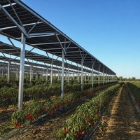Système de montage solaire agrivoltaïque sur champ de légumes, structure de support photovoltaïque au sol pour ferme commerciale