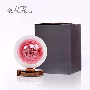 Hflora A Grade peonie Flower Lamp vendita calda Eternity <span class=keywords><strong>Flowers</strong></span> idee per scatole regalo per la festa della mamma personalizza altre piante di fiori decorativi - Product Image 5