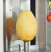 FXP-66 een gloednieuwe automatische machine voor het pellen van oude kokosnoten, ananas en Hami-meloenen