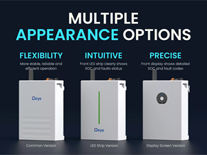 Vente flash Batterie basse tension Deye ESS SE-F5 LiFePO4 5,12 kWh Solution de stockage d'énergie domestique pour systèmes solaires Stock UE - Product Image 6