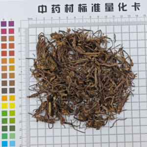 Aster Zi Yuan, Hierba Medicinal China <span class=keywords><strong>Seca</strong></span> de Alta Calidad, Venta al por Mayor a Bajo <span class=keywords><strong>Precio</strong></span>, Venta Directa de Fábrica, Multiusos - Product Image 5