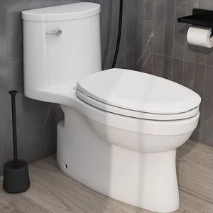 Para Kohler <span class=keywords><strong>Adele</strong></span>, sifón, inodoro unido, cinco ciclones, cubierta lenta, cerámica moderna,/4983 para baños, Control remoto - Product Image 5