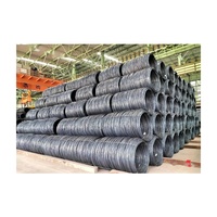 Fil de fer à faible teneur en carbone laminé à chaud pour le tréfilage, les clous, les grillages, les fixations, les fils de soudure en bobine
