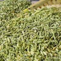 Graines de fenouil entières propres à faible teneur en impuretés, fournie par l'usine chinoise, expédition en vrac par conteneur, épice Halal pour le marché africain