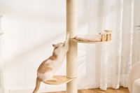 Nouvelle Conception Tour d'escalade en bois et sisal du sol au plafond avec mobilier d'appartement et plateforme de saut, Maison pour animaux, Arbre à chat