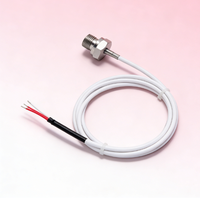 Sonde de température industrielle aquatique PT100 CWDZ00, sonde de résistance au platine de haute précision en acier inoxydable IP68
