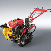 Cultivadora Autopropulsada de Orugas para Filipinas, Motor Diésel de 7HP 173F Refrigerado por Aire, Doble Cadena, Tracción sobre Rieles, Micro