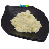 Poudre de gelée royale lyophilisée de qualité alimentaire 6% extrait de plantes testé par HPLC M.O.Q 1kg pour compléments alimentaires emballés dans un tambour