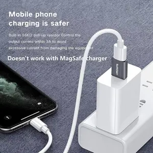 1 échantillon OK USB C femelle à USB mâle adaptateur en alliage d'aluminium Type C chargeur câble adaptateur pour IPhone 11 12