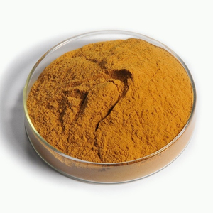 Harina de Gluten de Maíz de la Mejor Calidad, Venta al Por Mayor, Grado Alimenticio para Animales, Lista para Enviar, Suministro para Exportación - Product Image 5