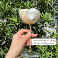 Copa de Vino Artesanal de Concha Marina con Tallo de Cristal Brillante, Vaso Decorativo, Proveedor de Vietnam, Copa de Vino de Concha Marina Natural