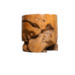Table basse ARTERRA en bois naturel de teck rustique, artisanale, meubles de salon, non pliable - Product Image 5