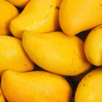 [Hete Zomer 2025] Verse Mango Van Hoge Kwaliteit-Natuurlijk Zoet En Vers 100% Tropisch Fruit Uit Vietnam Voor Zomerfruit