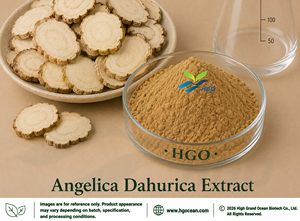 HGO Factory Direct Supply Angelica Dahurica Root Extract (Food Grade) (Ratio Extract) 4:1 5:1 10:1 20:1 100:1 200:1 - Product Image 1