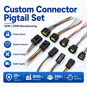 Aangepaste 2.2Mm Pvc Geïsoleerde Elektrische Draad Harnas Met 3 4 6 8 10 12 Pin Connectoren Voor Auto & Elektronica - Product Image 1