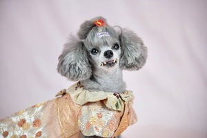 Ropa Premium de Seda para Perros Kikko-Sansyu con Estampado Floral Imperial y Detalles de Flor de Ciruelo, Talla (M) - Product Image 3