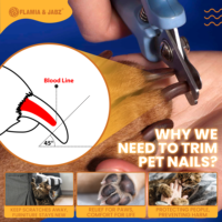 FLAMIA & JABZ Coupe-ongles professionnels en acier inoxydable pour chiens