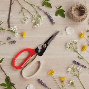 Ciseaux de jardin laser de qualité professionnelle de 7,25 pouces avec bord lisse pour la récolte des raisins et l'utilisation en verger - Product Image 1
