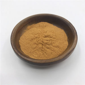 ผงสกัดรสเฮเซลนัทราคาส่ง ผงเฮเซลนัทธรรมชาติ - Product Image 1