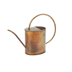Indian Supplies Iron Metal Watering <b>Cane</b> Rustic Galvanized Finished Flower Planter Holder for Home Outdoor <b>Garden</b> Use Water Cans - Product Image 1