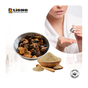 Extrait d'eau de champignon Chaga - Haute teneur en antioxydants ORAC pour sérums anti-âge et de défense - Qualité cosmétique - Product Image 1