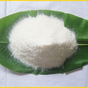 มะพร้าวอบแห้งคุณภาพสูงสำหรับไอศกรีมและเค้ก ผลิตในเวียดนาม ราคาดีที่สุดจากโรงงานโดยตรง - Product Image 1
