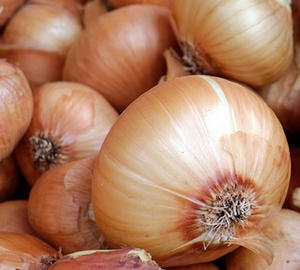 Cebollas Frescas Orgánicas Rojas con Descuento, Cosecha 2026, a Granel, de Alta Calidad, para Exportación Profesional y Venta al por Mayor - Product Image 1