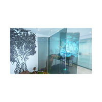 Panneaux en verre intelligents transparents PDLC avec verre trempé pour les applications commerciales de décoration extérieure Garantie de 5 ans