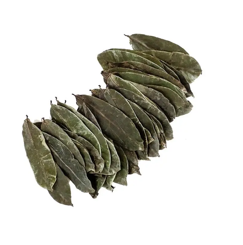 Le vendite all'ingrosso essiccate alla rinfusa foglie di Soursop ingredienti naturali utilizzati per bere il tè del VietNam