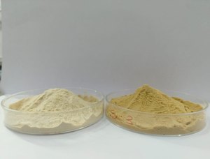 Poudre d'enzyme de bromélaïne 1200 GDU, enzyme de digestion protéinique à haute activité, enzyme protéolytique d'origine végétale - Product Image 1