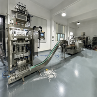 Machine d'emballage automatique multi-voies pour poudres en sachets, machine d'emballage de sachets de suppléments alimentaires et d'électrolytes en poudre