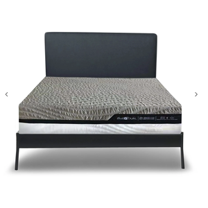 กิจการการดูแลผู้สูงอายุที่ชาญฉลาด x ราชินีคู่ - Product Image 3