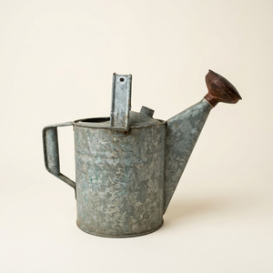 Arrosoir en métal galvanisé durable pour plantes d'intérieur et d'extérieur, design vintage antique, pot à eau en fer avec long bec verseur - Product Image 5