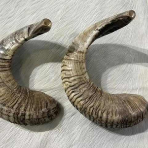 Cuerno de Oveja y Cabra Pulido de Alta Calidad, Ecológico, Color Natural, Tamaño Personalizado, Arte Coleccionable Duradero con Diseño de Ángel y Pata de Perro - Product Image 5
