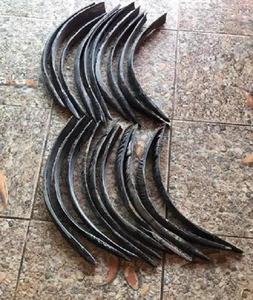 Tiras de Cuerno de Búfalo de Primera Calidad de 50-70 cm, Talladas con Técnica Tradicional para Arcos de Cuerno y Bambú, Directamente de Magnesia Craft - Product Image 2